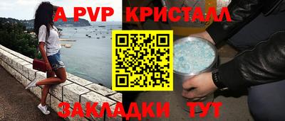 jwh Кингисепп