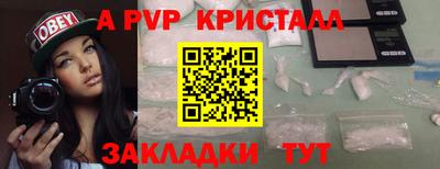 jwh Кингисепп