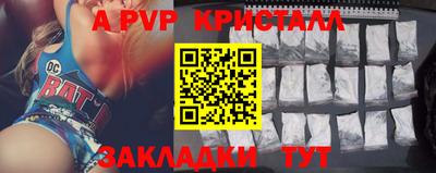 jwh Кингисепп