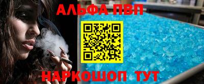 jwh Кингисепп