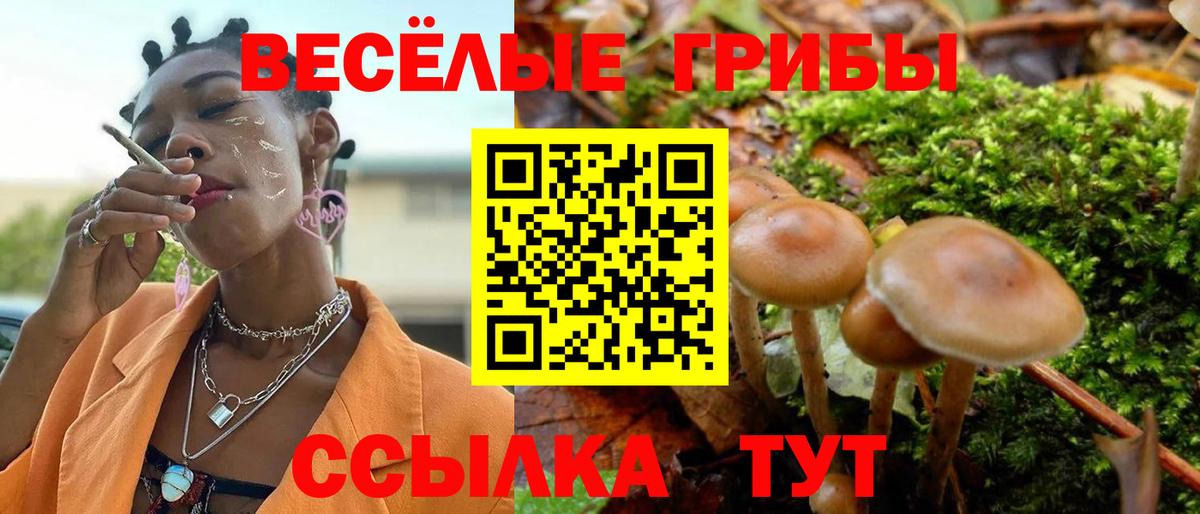 Псилоцибиновые грибы Cubensis Красноуфимск