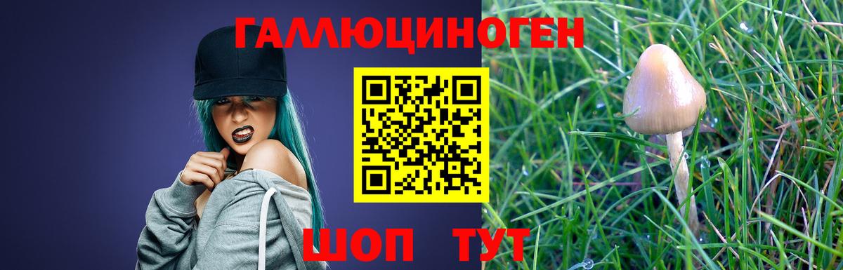 Галлюциногенные грибы GOLDEN TEACHER  закладки  Красноуфимск  Вход с VPN 